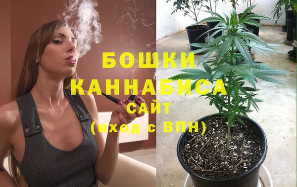 гидропоника Гусь-Хрустальный