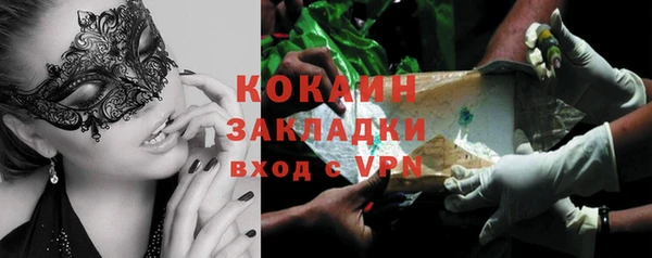 дурь Гусев