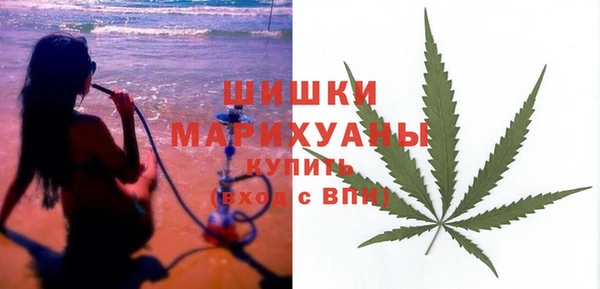 гидропоника Дмитриев