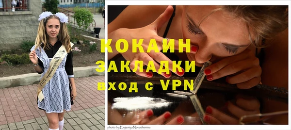 соль курить ск Дмитровск