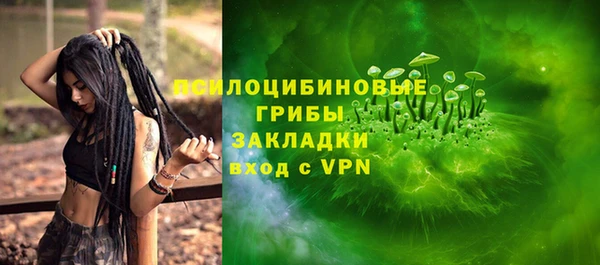гидропоника Дмитриев