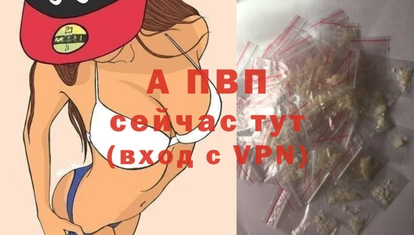 гидропоника Дмитриев