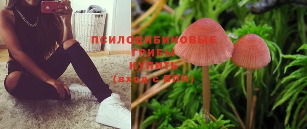 соль курить ск Дмитровск